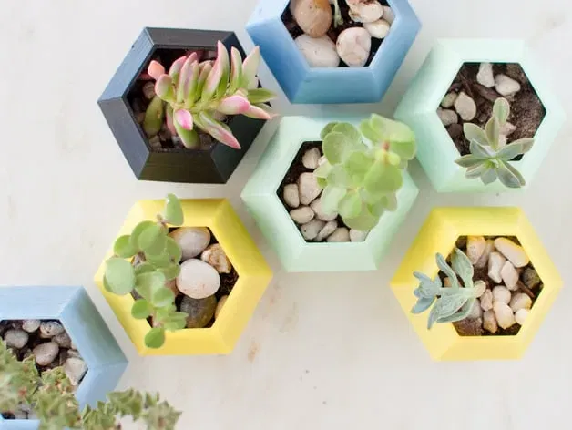 Chậu cây xương rồng hình lục giác trang trí bàn làm việc - Image 3