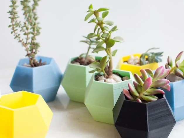 Chậu cây xương rồng hình lục giác trang trí bàn làm việc - Image 4