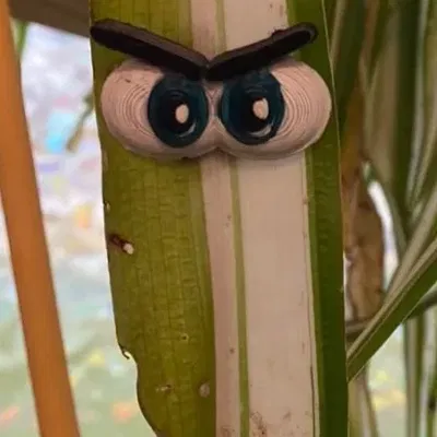 Đôi mắt cho cây xanh - Thêm phần thú vị cho bạn bè thực vật