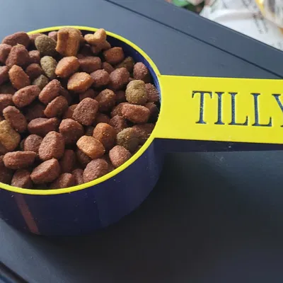 Cốc đo 350ml cho thức ăn chó