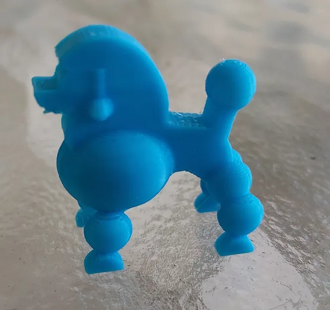 Chó xù dễ thương vừa rời khỏi tiệm cắt tóc thú cưng - Image 1