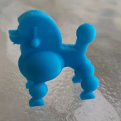 Chó xù dễ thương vừa rời khỏi tiệm cắt tóc thú cưng