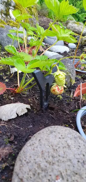 Giá đỡ dâu tây hỗ trợ trồng cây trong vườn - Image 1