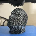 Mô hình đầu đá Voronoi - The Vorock - Thumbnail 1