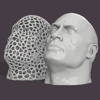 Mô hình đầu đá Voronoi - The Vorock