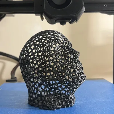 Mô hình đầu đá Voronoi - The Vorock