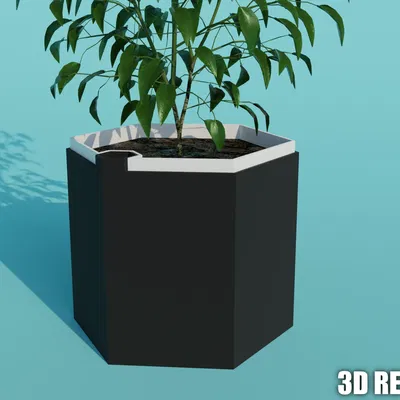 Chậu cây tự tưới hình lục giác kích thước 16x16x14cm