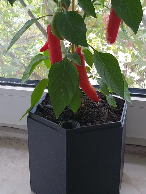 Chậu cây tự tưới hình lục giác kích thước 16x16x14cm - Image 3