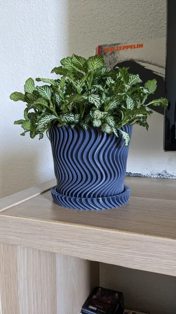 Bình hoa xoắn ốc với đĩa cho cây trong nhà - Image 1