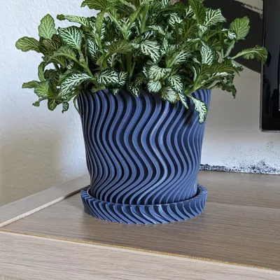 Bình hoa xoắn ốc với đĩa cho cây trong nhà