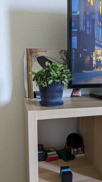 Bình hoa xoắn ốc với đĩa cho cây trong nhà - Image 2