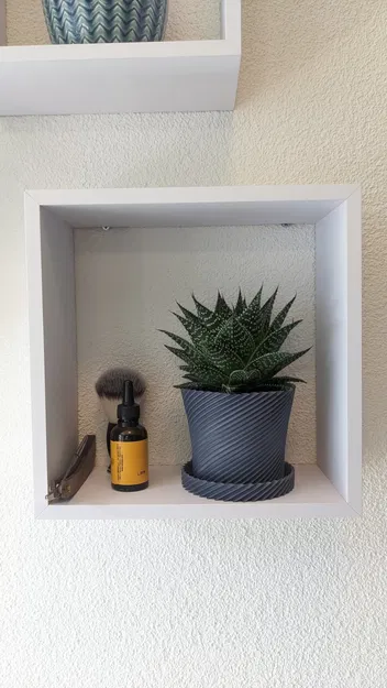 Chậu cây xương rồng với đĩa trang trí - Image 1