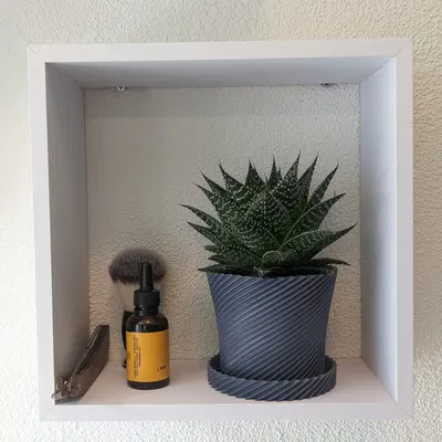 Chậu cây xương rồng với đĩa trang trí