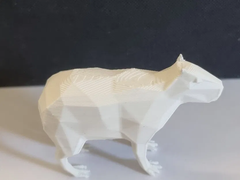 Capybara đáng yêu in 3D phong cách low poly - Image 4