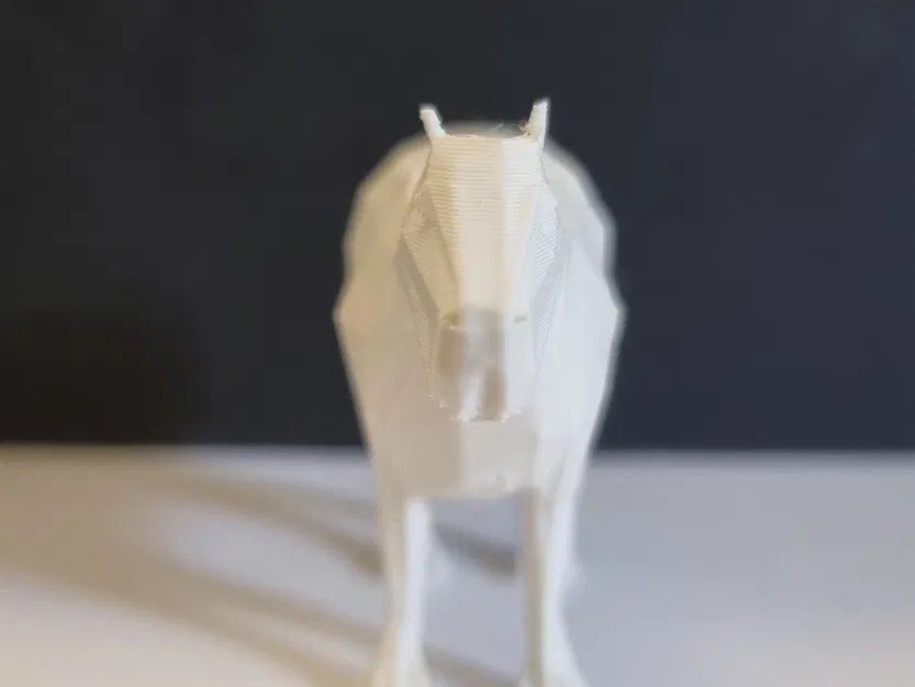 Capybara đáng yêu in 3D phong cách low poly - Image 5