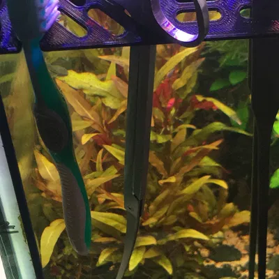 Giá đỡ dụng cụ aquascaping cho bể cá