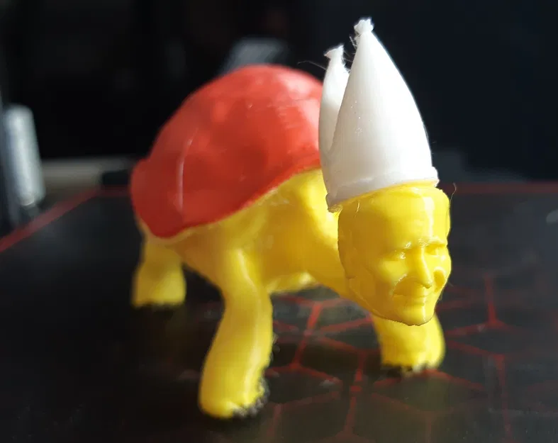 Giáo hoàng rùa nhiều màu sắc Jan Turtel II - Image 1