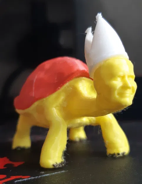 Giáo hoàng rùa nhiều màu sắc Jan Turtel II - Image 2