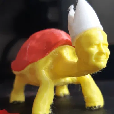 Giáo hoàng rùa nhiều màu sắc Jan Turtel II