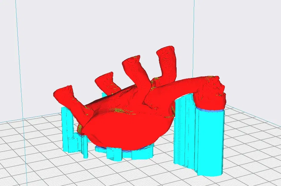 Giáo hoàng rùa nhiều màu sắc Jan Turtel II - Image 4