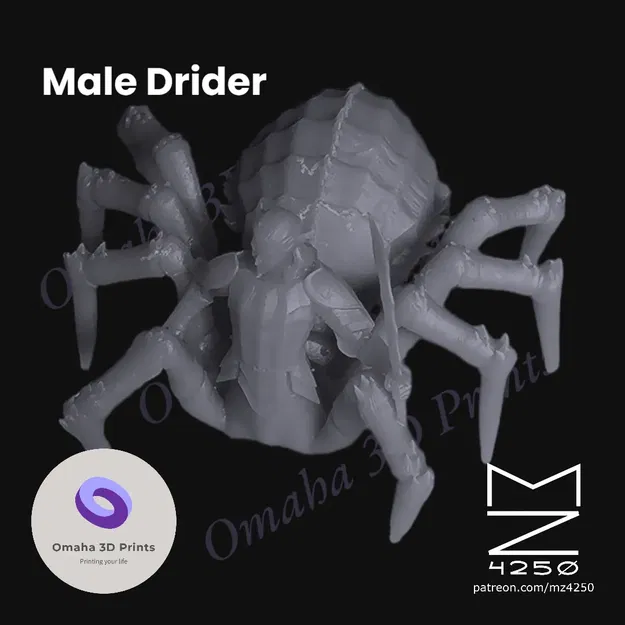 Drider nam cập nhật với đế tách rời - Image 1