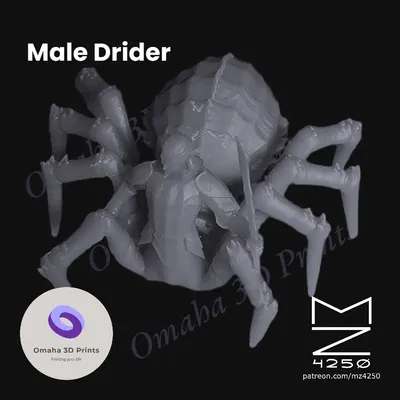 Drider nam cập nhật với đế tách rời