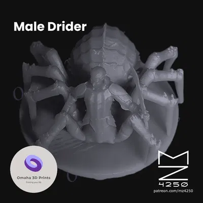 Drider nam cập nhật với đế tách rời