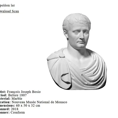 Tượng bán thân Napoleon của Oliver Laric