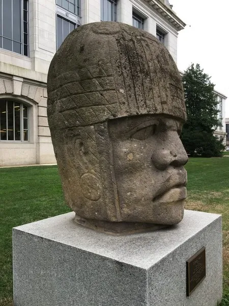 Biểu tượng đầu Olmec khổng lồ tại Smithsonian - Image 2