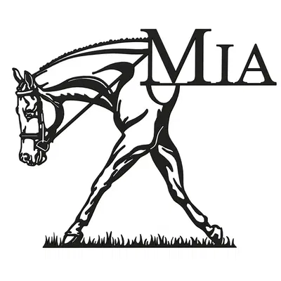 Ngựa Mia đi trên cỏ