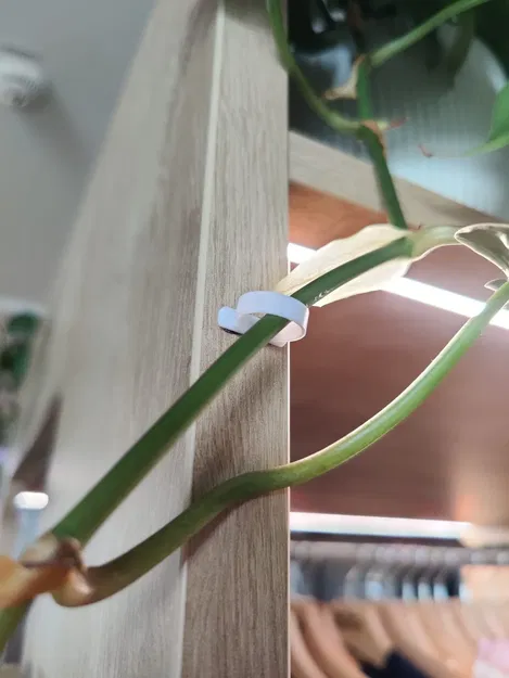 Giá treo cây treo tường cho các nhánh riêng lẻ - Image 1