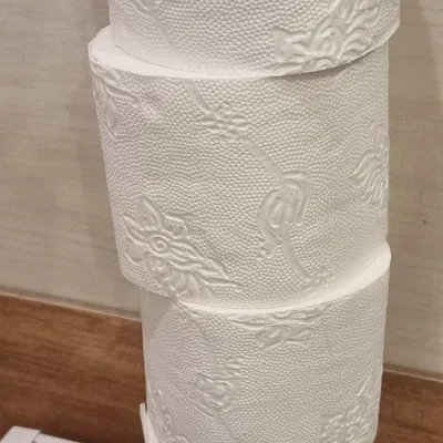 Giá đỡ cuộn giấy vệ sinh tiện lợi cho nhà tắm