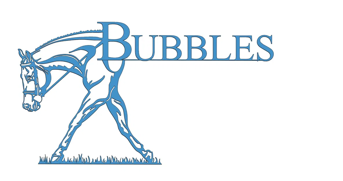 Ngựa Bubbles đi trên cỏ với biển tên - Image 1