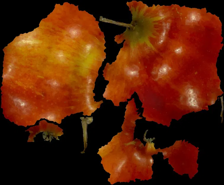 Quả táo 3D quét bằng máy Einscan-SE từ Shining 3D - Image 2