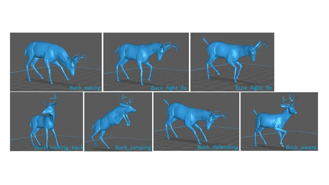 Những chú hươu đực với nhiều tư thế khác nhau - Image 1