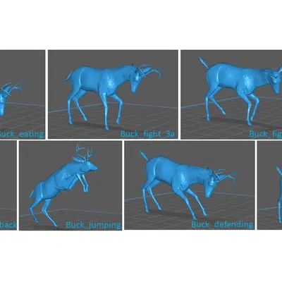 Những chú hươu đực với nhiều tư thế khác nhau