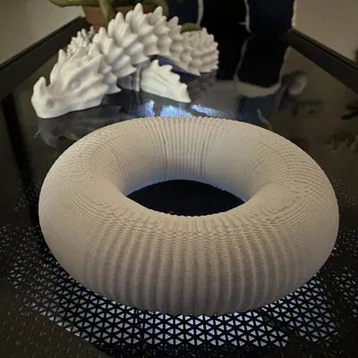 Torus xoắn biến đổi trong Python