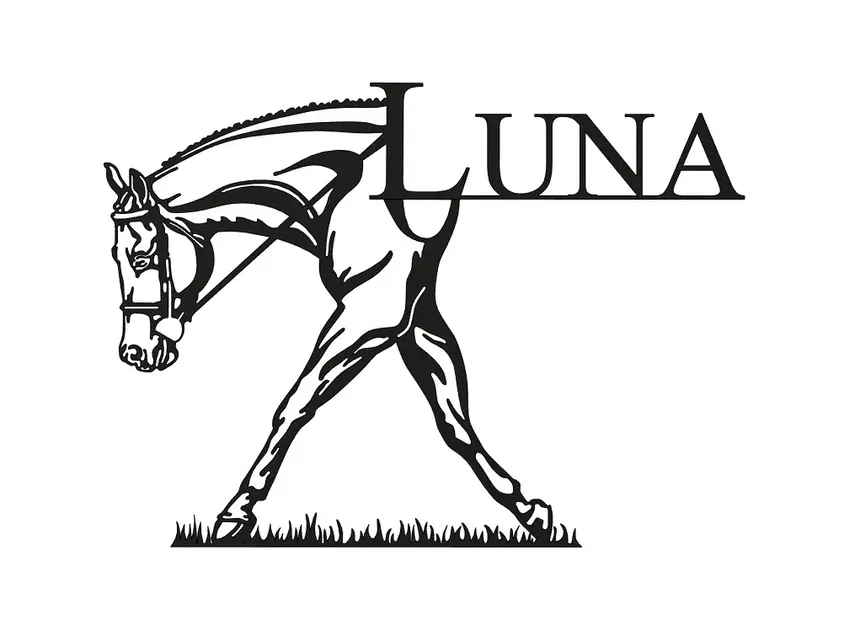 Ngựa Luna đi trên cỏ - Image 1