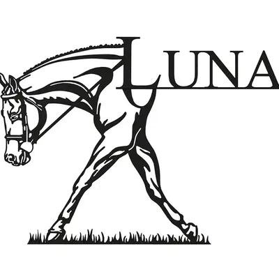 Ngựa Luna đi trên cỏ