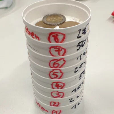 Máy phân loại tiền xu tùy chỉnh cho các loại tiền tệ