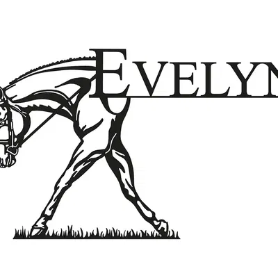 Ngựa Evelyn đi trên cỏ