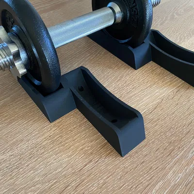 Giá đỡ tạ tròn 1,25 kg và 2,5 kg di động