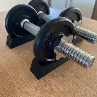 Giá đỡ tạ tròn 1,25 kg và 2,5 kg di động