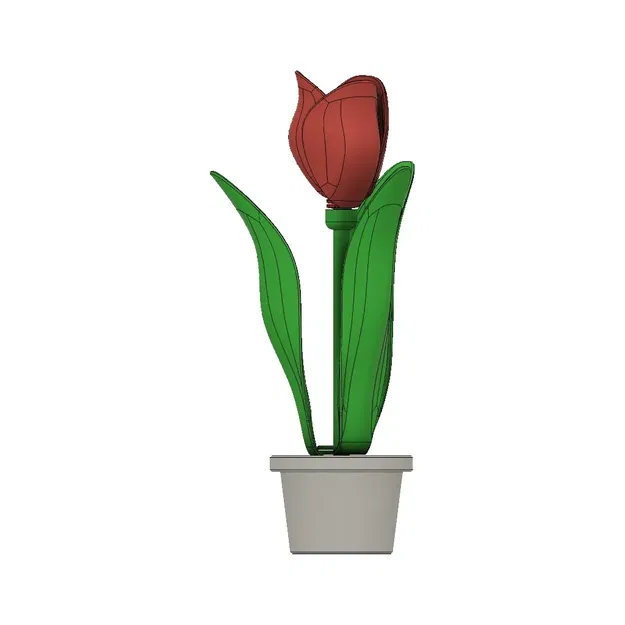 Hoa tulip đơn và chậu với ngăn bí mật - Image 11
