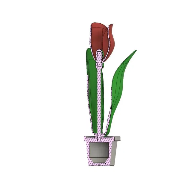 Hoa tulip đơn và chậu với ngăn bí mật - Image 12