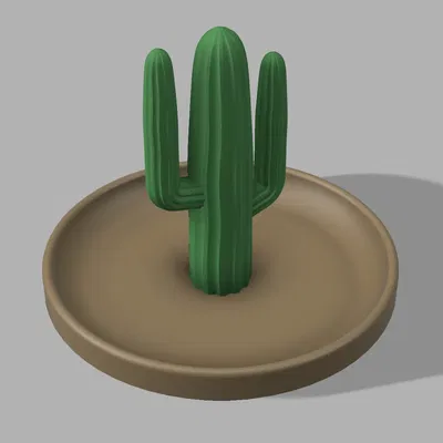 Giá đỡ nhẫn và bông tai hình xương rồng