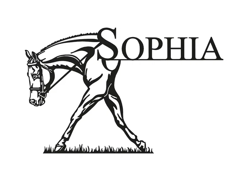 Ngựa Sophia đi bộ trên cỏ - Image 1