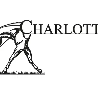 Ngựa Charlotte đi trên cỏ