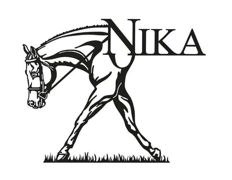 Ngựa Nika đi trên cỏ - Image 1