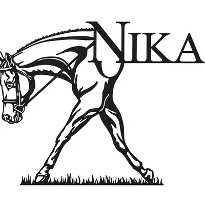 Ngựa Nika đi trên cỏ